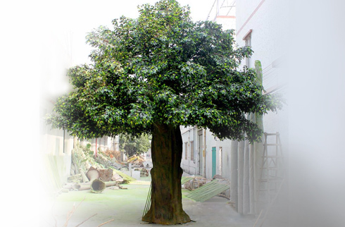 Chia sẻ 64 về mô hình cây cổ thụ mới nhất  Tin học Đông Hòa